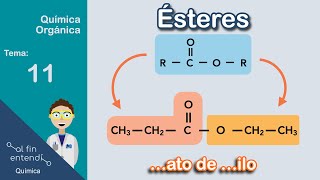 ¿Cómo nombrar un ÉSTER [upl. by Esilrahc]