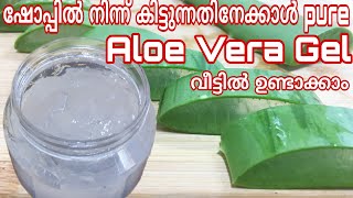 How to make കറ്റാർവാഴ aloe vera gel at home easly  Homemade aloevera gel in malayalam [upl. by Hsaka]