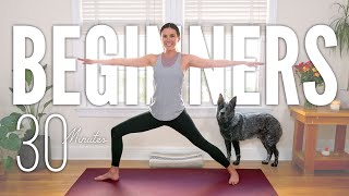 30Minute Yoga For Beginners  Start Yoga Here [upl. by Calendra]