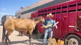 Colorado Saddlery Since 1945 [upl. by Malina437]