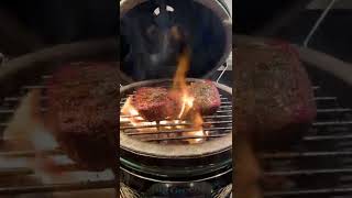 BIG GREEN EGG MINI 🟰FILETS COOKED INSIDE [upl. by Aradnahc53]