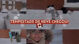 TEMPESTADE DE NEVE FIZEMOS NOSSO PRIMEIRO BONECO DE NEVE DIAS PÓS TEMPESTADE 🇨🇦 [upl. by Osrit945]