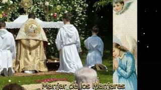 Amor de los Amores  Miguel Muro [upl. by Schubert992]