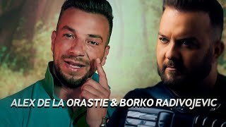 Alex de la Orastie amp Borko Radivojevic  Ochii tai sa vada [upl. by Novah217]