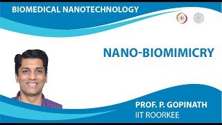 NanoBiomimicry [upl. by Triplett]