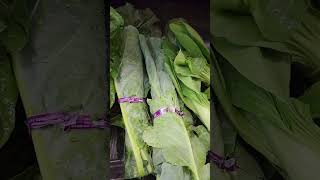 🍁 Community Natural Foods Crowfoot calgary alberta canada calgarylife [upl. by Enobe]