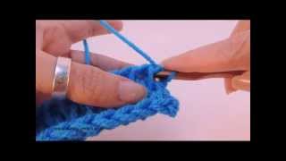 Tunisian Crochet Full Stitch aka Mesh Stitch [upl. by Saideman284]