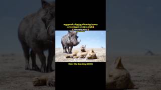 A wild boar saves a lion cub from eaglesshortsThe lion kingshort [upl. by Florie]