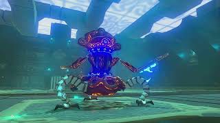 Zelda Breath of the Wild  MiniBosses  Master Mode [upl. by Gerlac329]