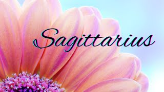 Sagittarius🩷This Is The TRUTH About This Person💣Theyll Reach Out Soon Enough🩷No Communication [upl. by Honeyman]