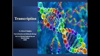 Transcription in Prokaryotes and Eukaryotes [upl. by Nanor710]