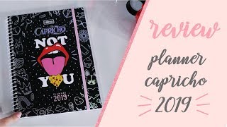 REVIEW PLANNER DA CAPRICHO 2019 [upl. by Norga]