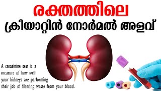 CREATININE NORMAL RANGE MALAYALAM  രക്തത്തിലെ ക്രിയാറ്റിനിൻ അളവ് [upl. by Cornall619]