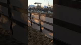 2024 Macaé Rodeo Little Girls Roping Cattle in Rio de Janeiro [upl. by Eseela314]