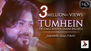 Tumhein Dillagi Bhool Jaani Padegi  Junaid Sultani  JashneAdab  Qawwali [upl. by Eninej]