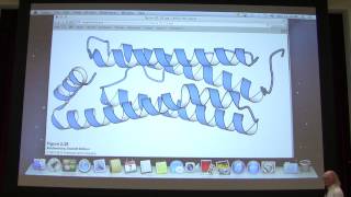 Aherns Biochemistry 4  Protein Structure I [upl. by Linn]