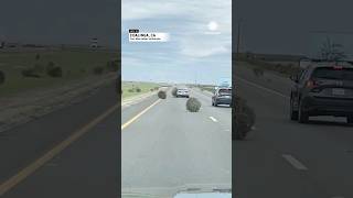 Barrage of Tumbleweeds hits California Interstate [upl. by Ettennad]