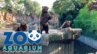 Zoo Aquarium Madrid  Full Walking Tour [upl. by Krissy]