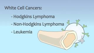 Video 18 Blood and Immune System Disorders [upl. by Cindi]