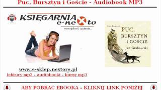 PUC BURSZTYN i GOŚCIE  AUDIOBOOK MP3  Jan Grabowski BAJKA DLA DZIECI  POBIERZ [upl. by Anilemrac688]