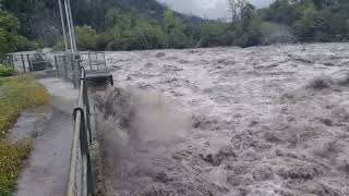 Hochwasser Rhein DonatEms 28082023 [upl. by Jaworski670]