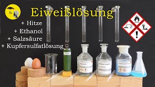 Eiweißlösung  Hitze  Salzsäure  Ethanol  Kupfersulfatlösung [upl. by Ynatirb]