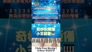 【Daily Piano Worship】《奇妙的預備》小羊詩歌B Minor簡譜雙手示範Easy Piano盼望愛Daily Piano [upl. by Lyons]