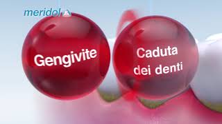 Dentifricio e collutorio meridol® per la prevenzione dei problemi gengivali [upl. by Anead]