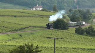 Der Rebenbummler am Kaiserstuhl [upl. by Gibbie]