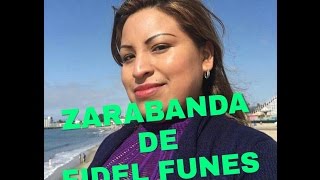 ZARABANDA DE FIDEL FUNES LO MEJOR [upl. by Yun]