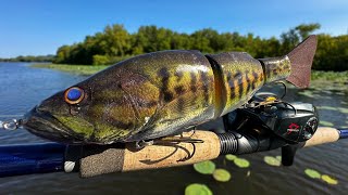 Fishing a Bass Lure for River MONSTERS [upl. by Buyse]