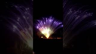 diwali fireworks 4thofjuly automobile firework fireworkscake fireworks2023 funny [upl. by Lauer351]