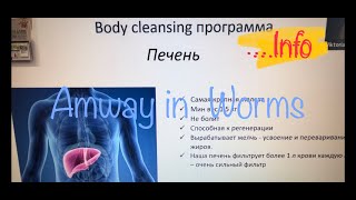 info  на русском  Очистка организма  Body cleansing  Germany  Германия [upl. by Prue]