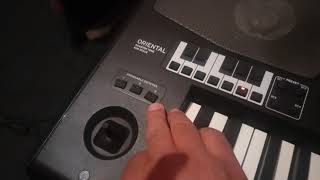 تغيير الايقاعات بطريقة سهلة korg pa700 oriental change styles in assignable swiches [upl. by Gothar]