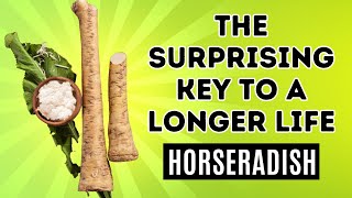 7 Health Benefits of Horseradish Benefit 6 is MindBlowing [upl. by Sjoberg]