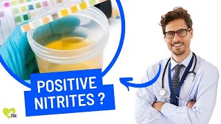 Positive Nitrites in Urine Causes Symptoms and Treatments 🚑💧 [upl. by Burne847]