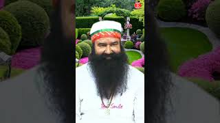 बहुत ही खुशी की खबरshorts saintmsg shortfeed derasachasauda guruji [upl. by Bealle]