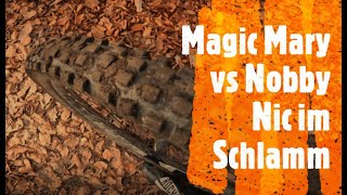 maxxis minion dhf vs schwalbe magic mary [upl. by Anisamoht]