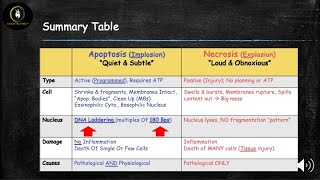 Cell Death  Necrosis vs Apoptosis [upl. by Fadas]