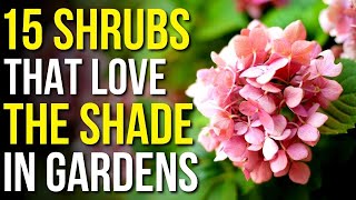 15 Shrubs That Love The Shade  Shrubs That Grow In Shade [upl. by Saum]