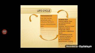 Medical Parasitology Lecture 6 Nematoda [upl. by Anwahsed]