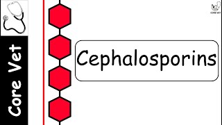 L5 Cephalosporins  Veterinary Chemotherapy  Pharmacology and Toxicology [upl. by Anawad327]