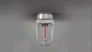 Fire Sprinkler Animation [upl. by Yelwah]