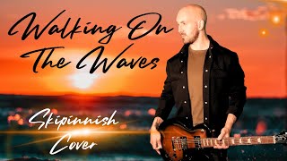 Walking On The Waves  Skipinnish Cover Shane For Short [upl. by Xirdnek]