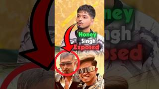 Paradox Exposed Honey Singh 😱🤯 Ft RealHitVideos shorts interview paradox honeysingh [upl. by Iborian52]