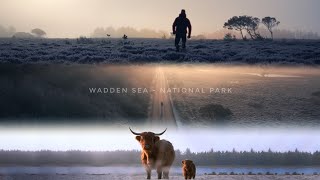 Discover the Beauty of Winter in Denmark ｜ Wadden Sea National Park｜Cinematic Video [upl. by Harrington734]