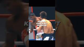 How to knockout Buakaw [upl. by Enirok]