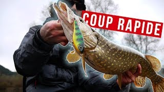 Comment pêcher le brochet ULTRA RAPIDEMENT [upl. by Octavian]