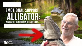 Alligator Adventures The Epic Search for WallyGator Begins [upl. by Barty883]