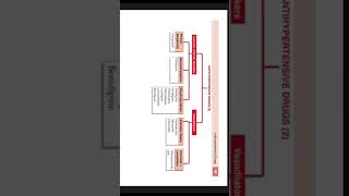 ANTIHYPERTENSIVE DRUGS 2 [upl. by Riegel]